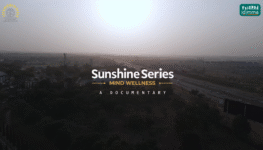 Tasty Tom Product Survey Documentary - Kaduna, Kano